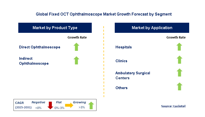 Fixed OCT Ophthalmoscope Market by Segment